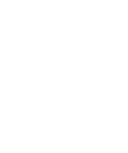 Logo Bodywise wit